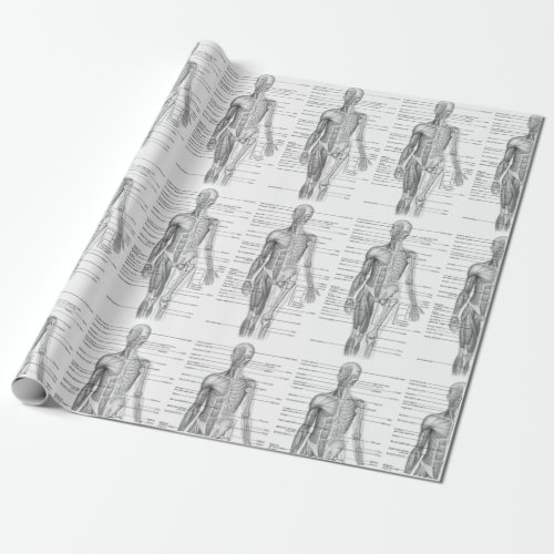 Human Anatomy Medical Chart Wrapping Paper