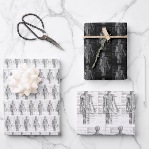 Human Anatomy Medical chart Wrapping Paper Sheets