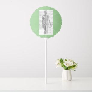 Human Anatomy Medical Charts Balloon