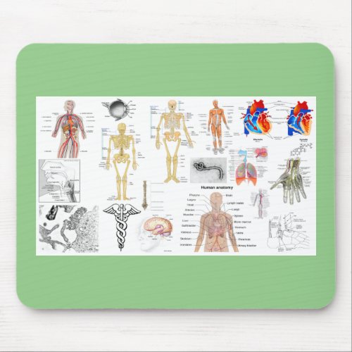 Human Anatomy Medical Charts Mouse Pad