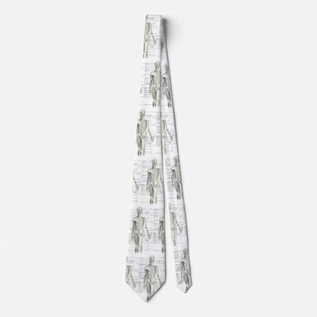 Human Anatomy Medical Diagram Novelty Neck Tie (Front)