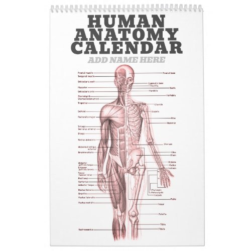 Human Anatomy Medical Diagram Novelty Science Calendar
