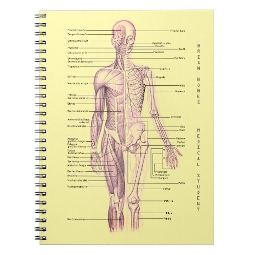 Human Anatomy Medical Diagram Personalized School Notebook