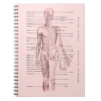 Human Anatomy Medical Diagram Personalized School