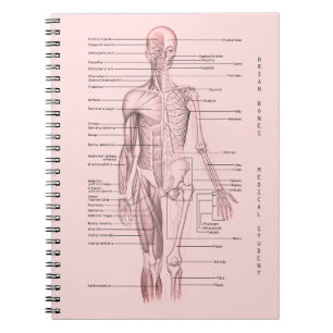 Human Anatomy Medical Diagram Personalized School Notebook