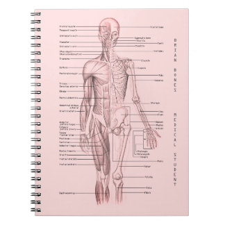 Human Anatomy Medical Diagram Personalized School Notebook