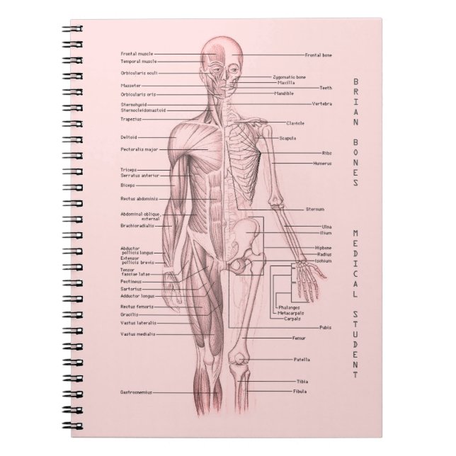 Human Anatomy Medical Diagram Personalized School Notebook (Front)