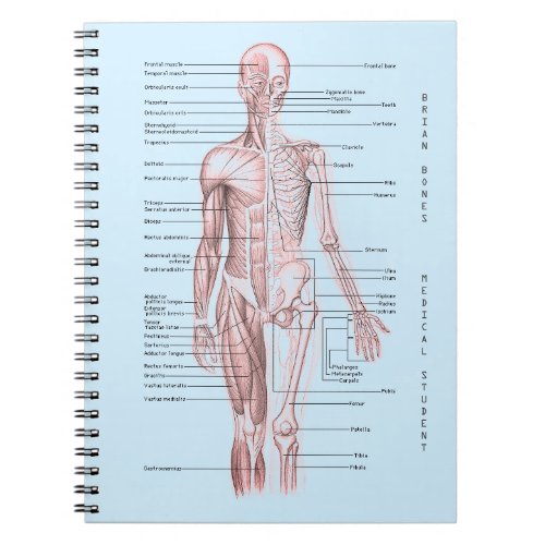 Human Anatomy Medical Diagram Personalized School Notebook