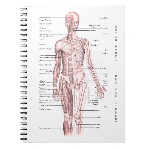 Human Anatomy Medical Diagram Personalized School Notebook