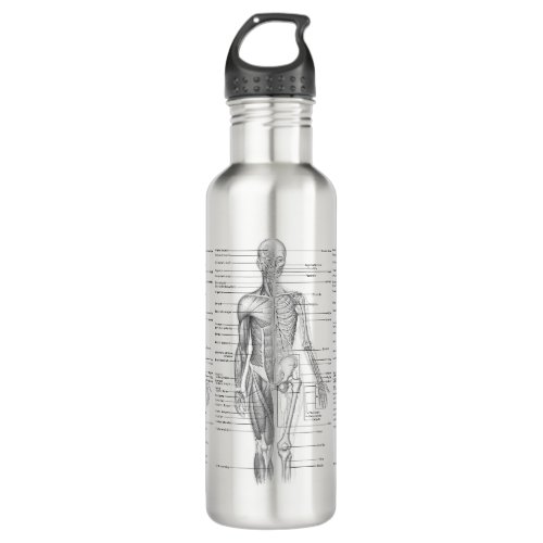 Human Anatomy Medical Diagram Stainless Steel Water Bottle