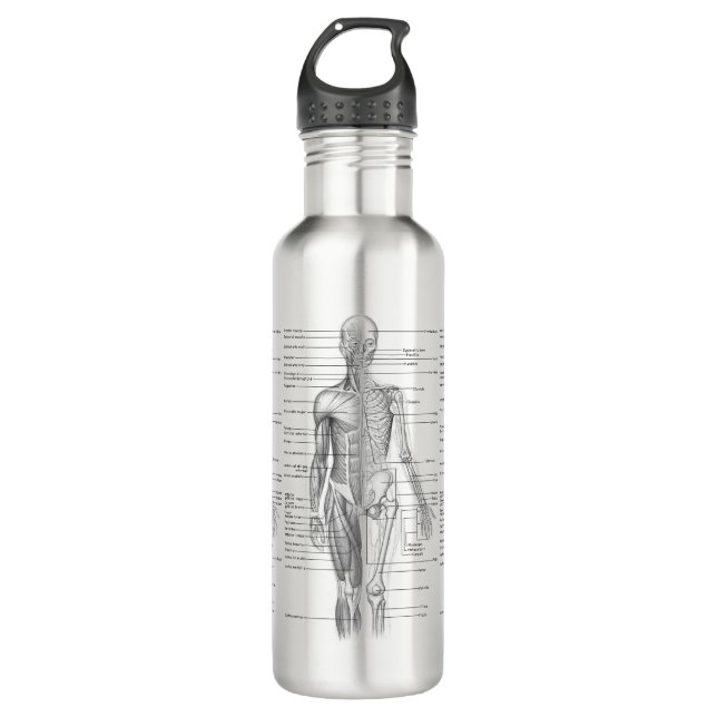 Human Anatomy Medical Diagram Stainless Steel Water Bottle (Front)
