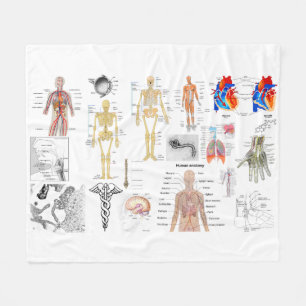 Human Anatomy Medical Diagrams full colored Fleece Blanket