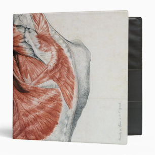 Human Anatomy; Muscles of the Torso and Shoulder 3 Ring Binder