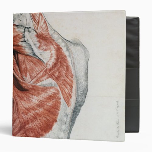 Human Anatomy Muscles of the Torso and Shoulder 3 Ring Binder