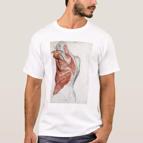 Human Anatomy Muscles of the Torso and Shoulder T_Shirt