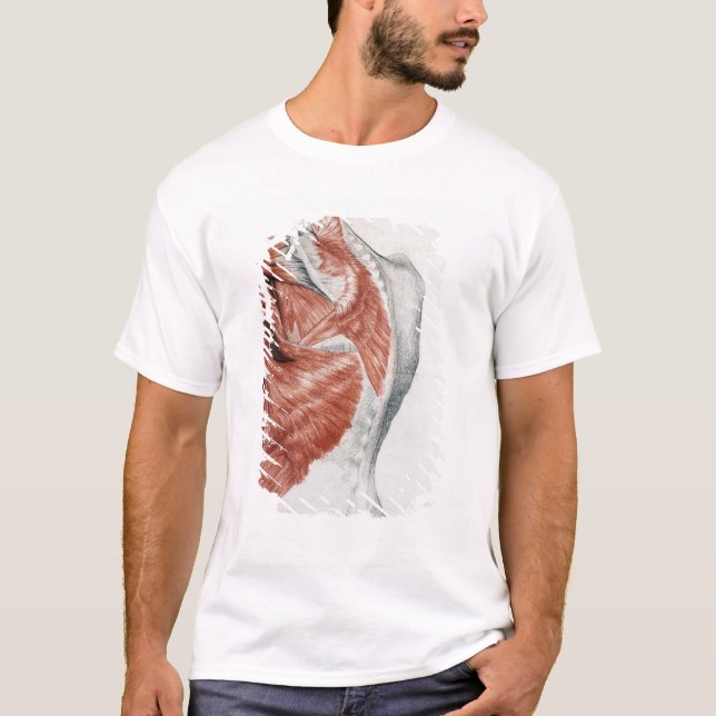 Human Anatomy; Muscles of the Torso and Shoulder T-Shirt (Front)