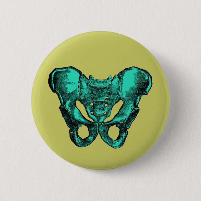 Human Anatomy Pelvis Bones Pinback Button (Front)