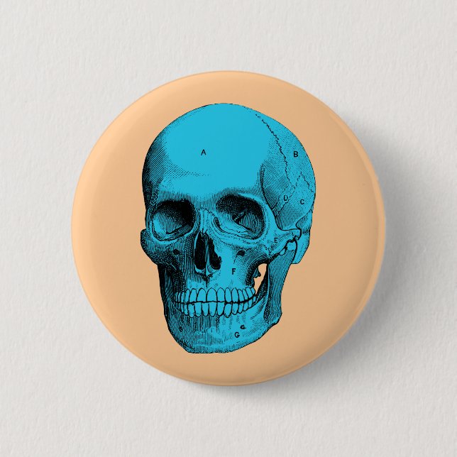 Human Anatomy Skull Button (Front)