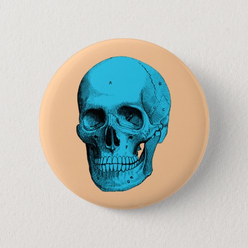 Human Anatomy Skull Button