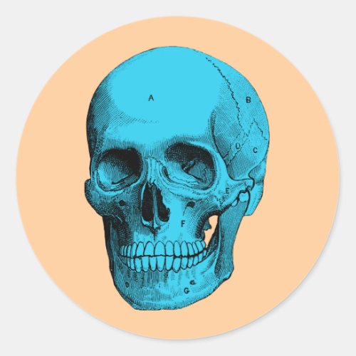 Human Anatomy Skull Classic Round Sticker