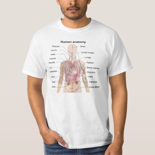 Human Anatomy T_Shirt