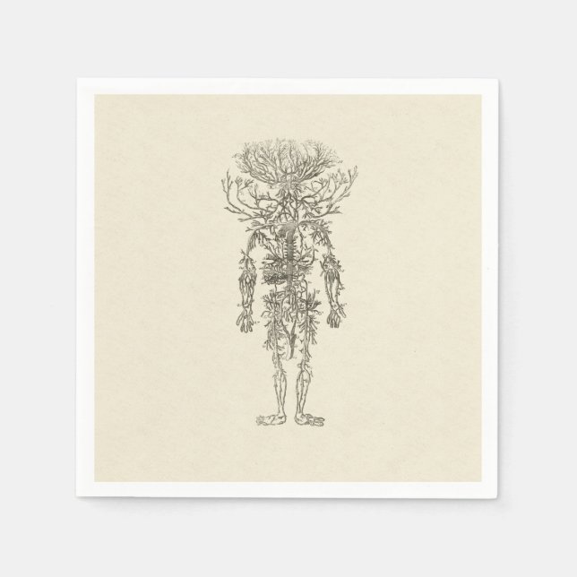 Human Anatomy The Arteries Antique Illustration Napkins (Front)