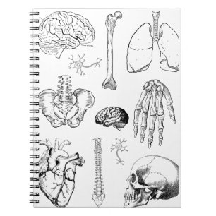 Human Anatomy Vintage Medical Illustration Set Notebook