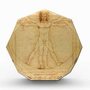 leonardo da vinci vitruvian man censored