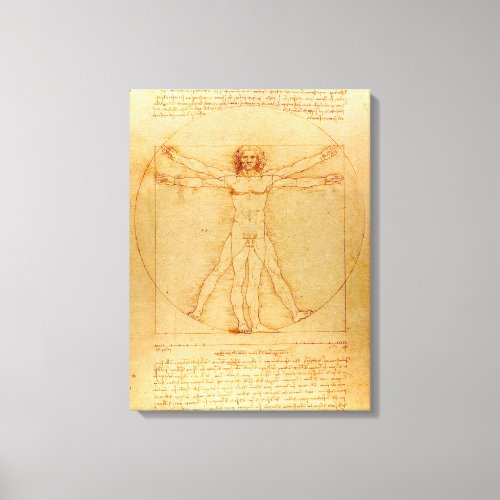 Human Anatomy Vitruvian Man by Leonardo da Vinci Canvas Print