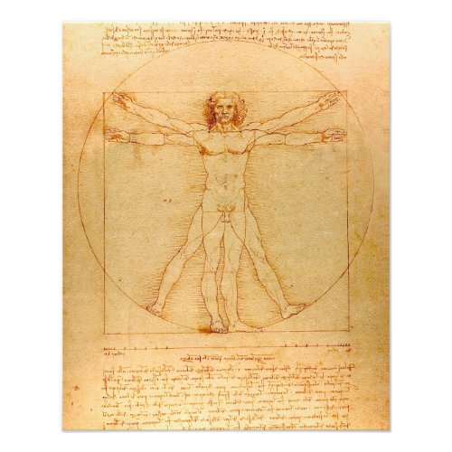 Human Anatomy Vitruvian Man by Leonardo da Vinci Photo Print