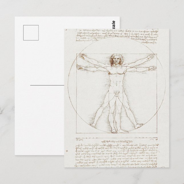Human Anatomy: Vitruvian Man by Leonardo da Vinci Postcard (Front/Back)