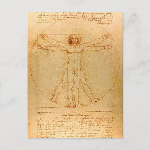 Human Anatomy Vitruvian Man by Leonardo da Vinci Postcard