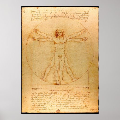 Human Anatomy Vitruvian Man by Leonardo da Vinci Poster