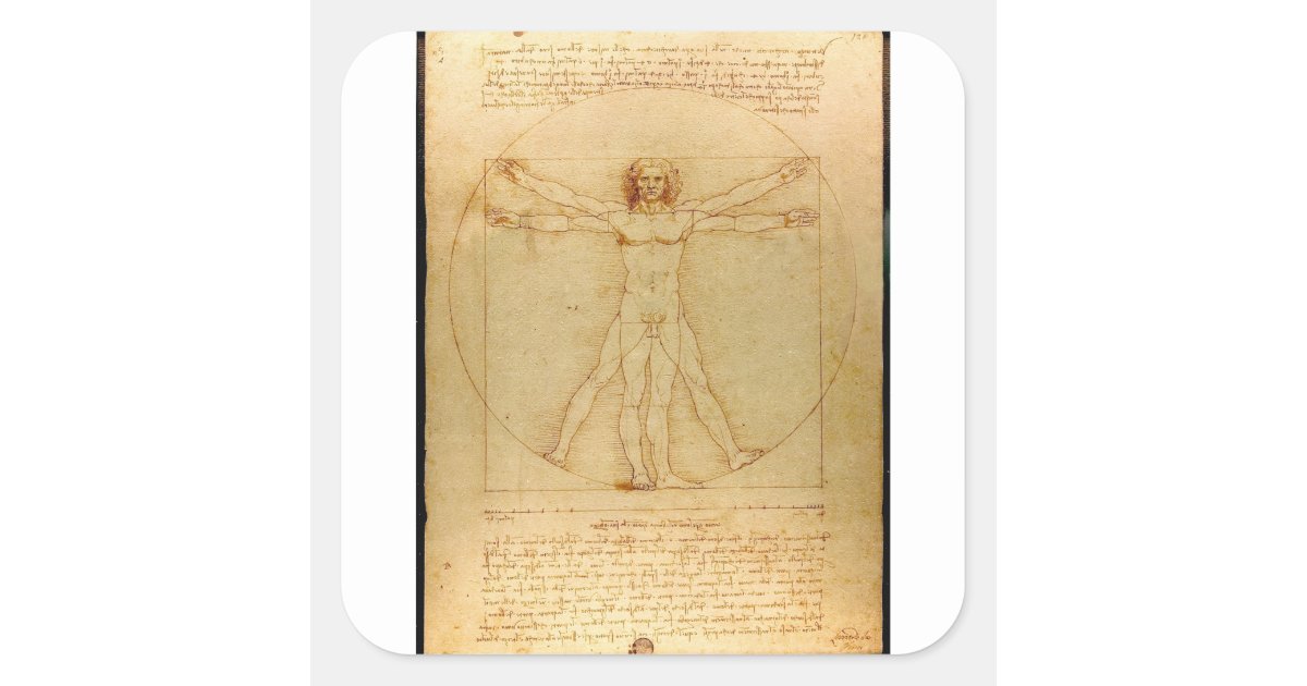 Human Anatomy, Vitruvian Man by Leonardo da Vinci Square Sticker | Zazzle