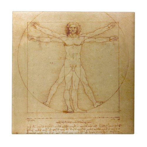 Human Anatomy Vitruvian Man by Leonardo da Vinci Tile