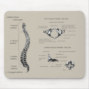 Human backbone mouse pad