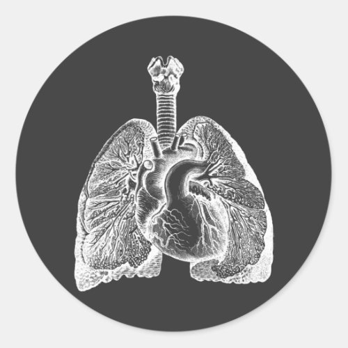 Human Biology Anatomy Heart Lungs Science Art   Classic Round Sticker
