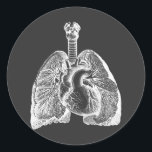 Human Biology Anatomy Heart Lungs Science Art   Classic Round Sticker<br><div class="desc">Human Biology Anatomy Heart Lungs Science black and white Art round stickers</div>