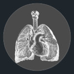 Human Biology Anatomy Heart Lungs Science Art   Classic Round Sticker<br><div class="desc">Human Biology Anatomy Heart Lungs Science black and white Art round stickers</div>