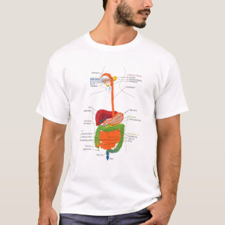 Human Body Digestive System Gastrointestinal Tract T-Shirt