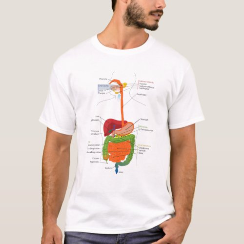 Human Body Digestive System Gastrointestinal Tract T_Shirt