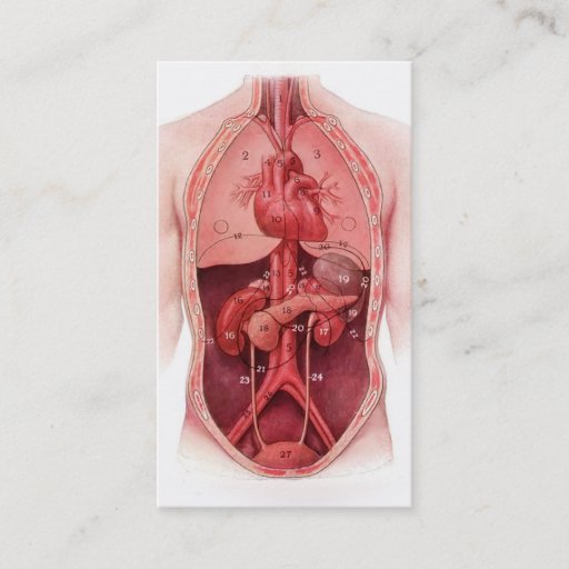 Customizable human body parts medical business cards
