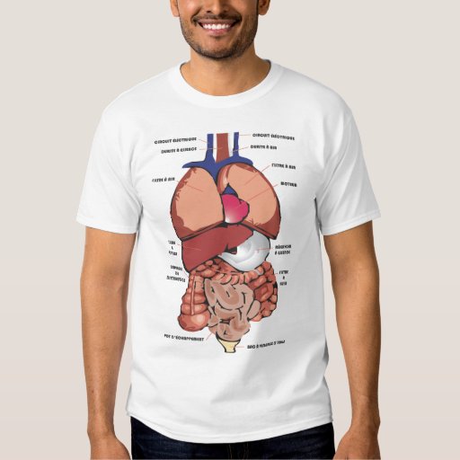 Human Body T-shirt | Zazzle