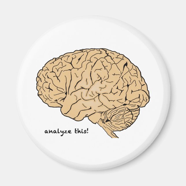 Human Brain: Analyze This! Magnet (Front)