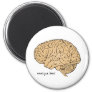Human Brain: Analyze This! Magnet
