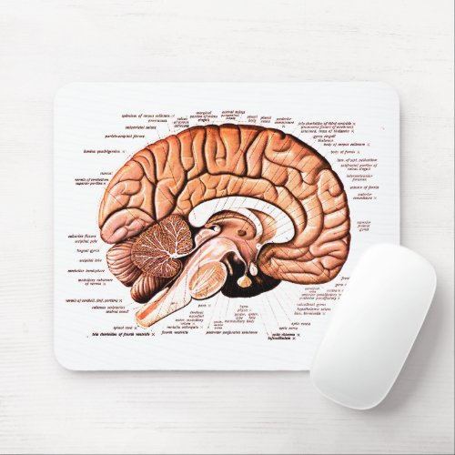 Human Brain Anatomy Medical Diagram Novelty Mouse Pad