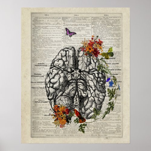 Human Brain Anatomy with Flowers Butterflies Poster
