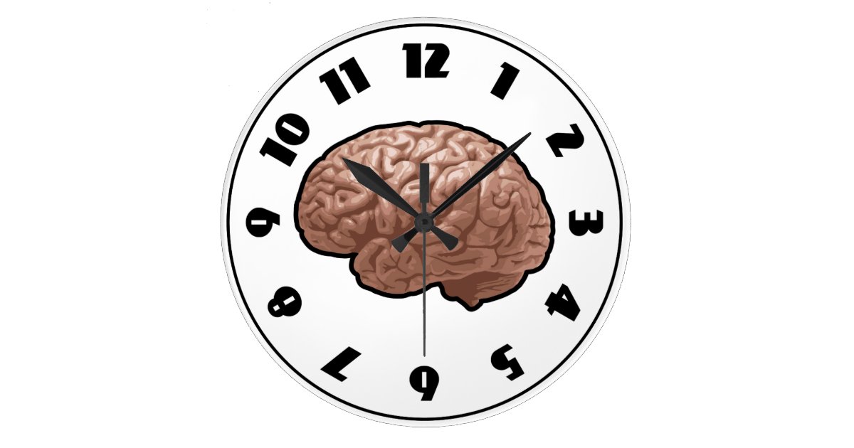 Human Brain Clock