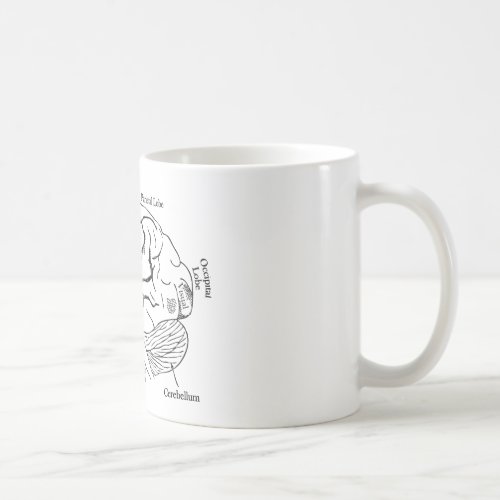 Human Brain Coffee Mug