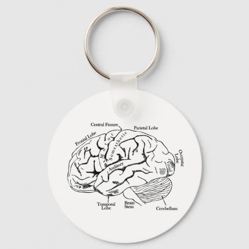 Human Brain Keychain